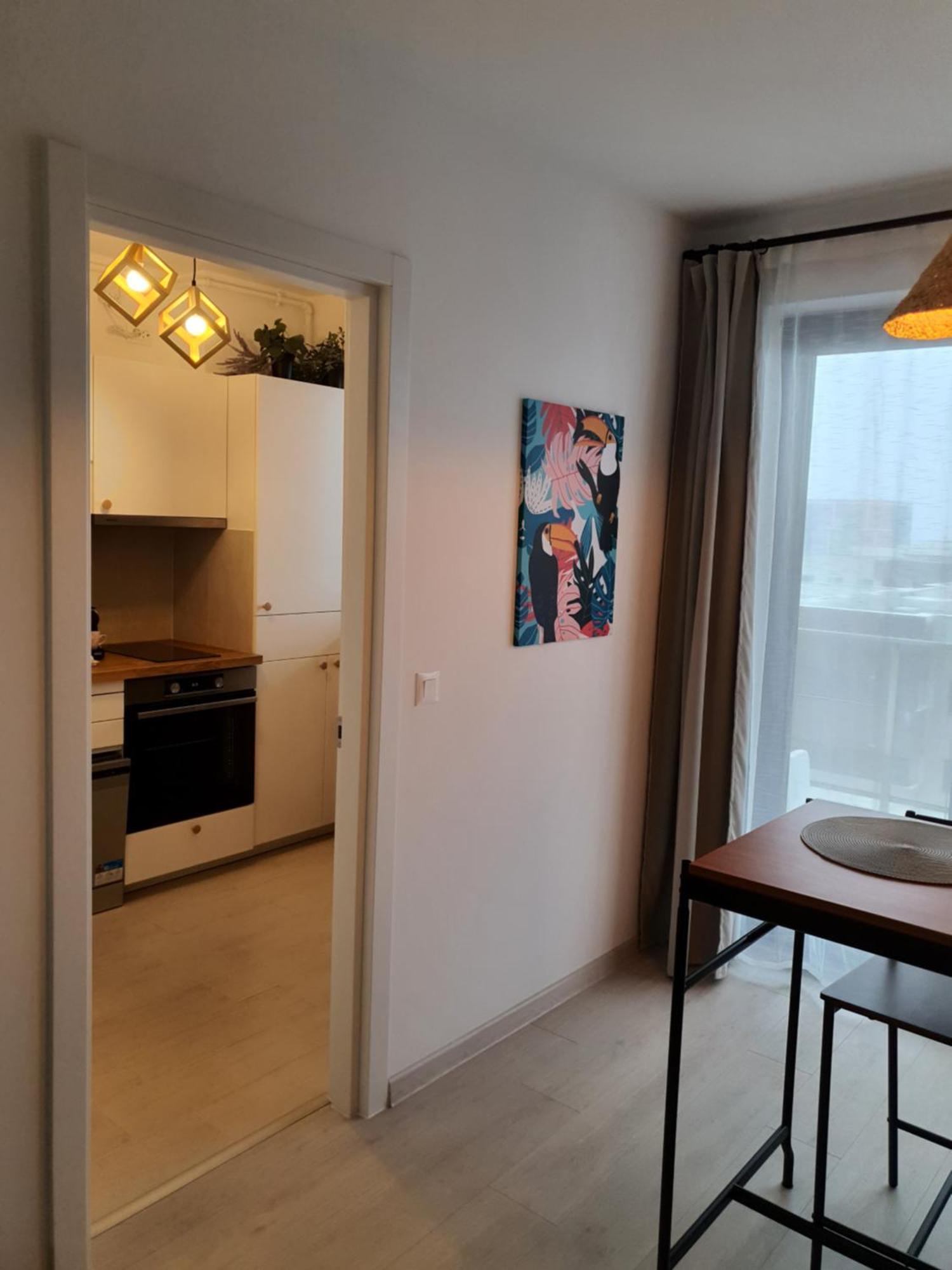 Premium Hils Brauner Studio Bucureşti Eksteriør bilde