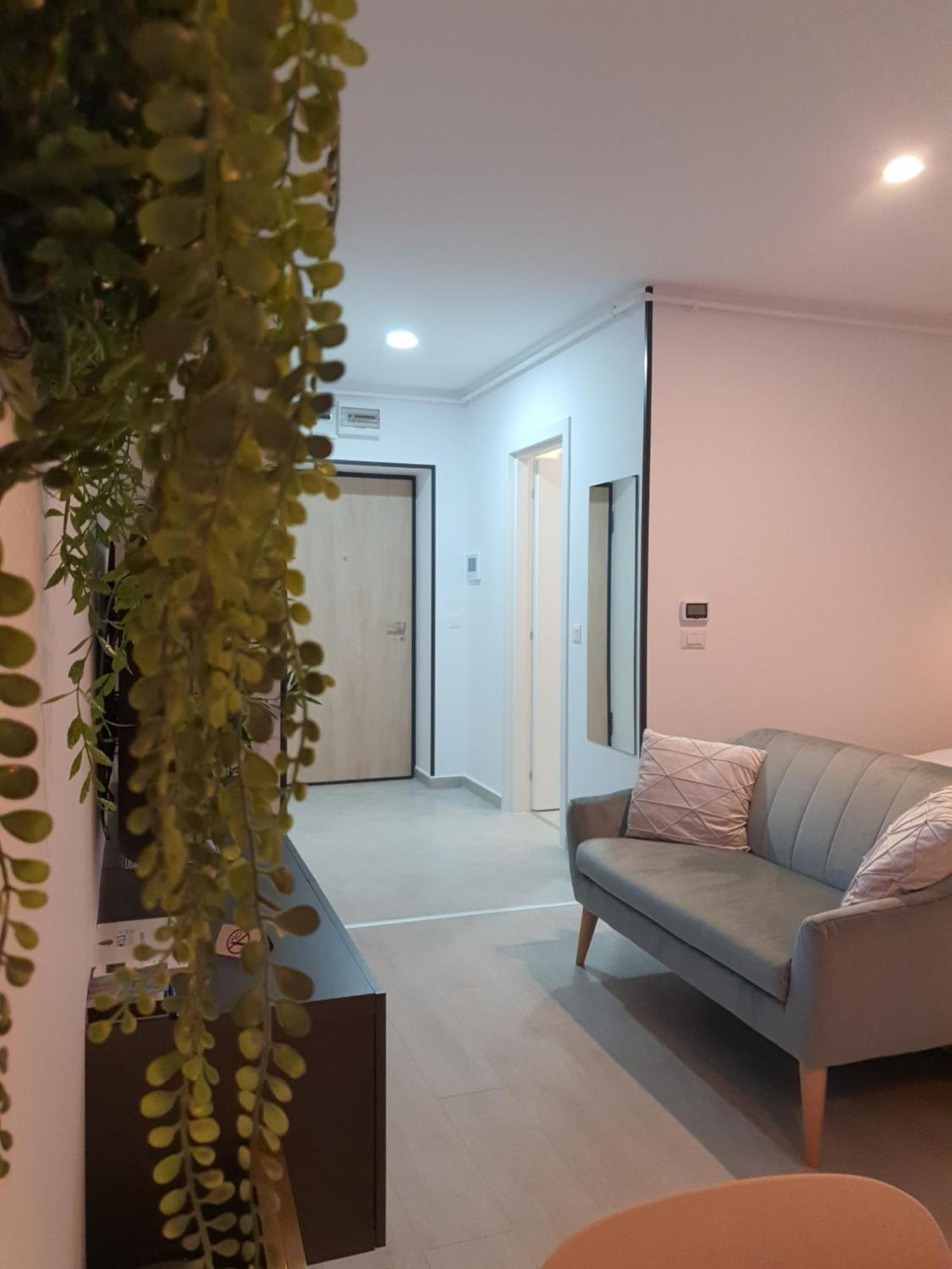 Premium Hils Brauner Studio Bucureşti Eksteriør bilde